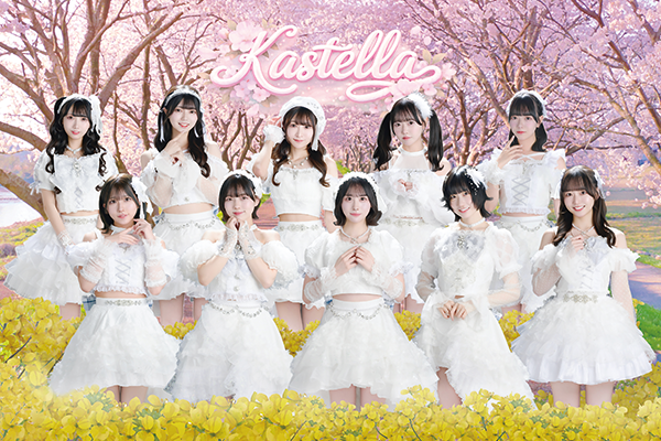 かすみ草とステラ